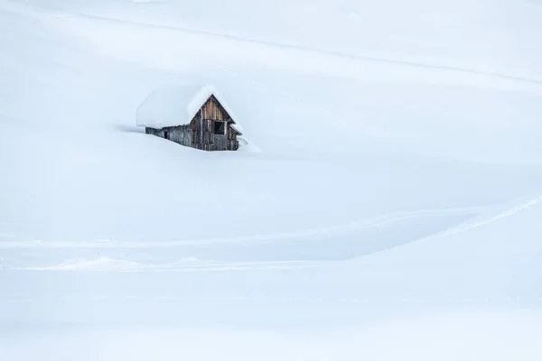Sněžení Poslední Světla Soumraku Sappadě Magie Dolomitů — Stock fotografie