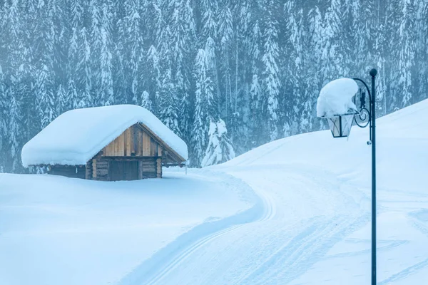 Sněžení Poslední Světla Soumraku Sappadě Magie Dolomitů — Stock fotografie