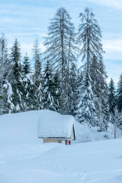 Sněžení Poslední Světla Soumraku Sappadě Magie Dolomitů — Stock fotografie