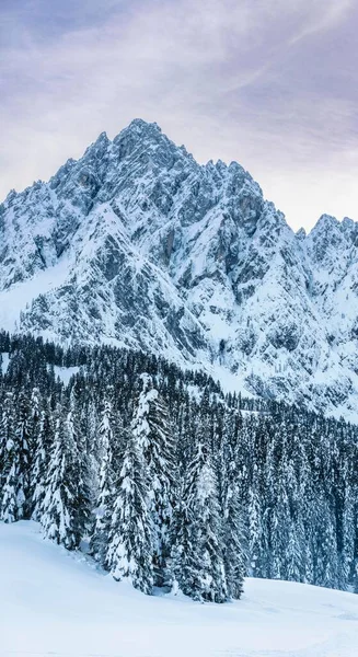 雪の後 サパダでの夕暮れの最後のライト ドロマイトの魔法 — ストック写真