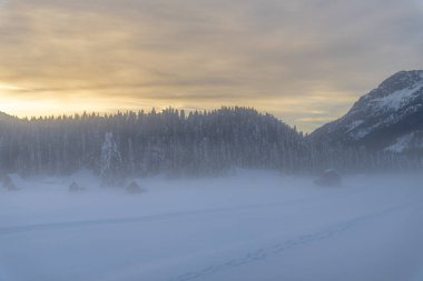 Kar yağdıktan sonra. Sappada 'da alacakaranlığın son ışıkları. Dolomitlerin Büyüsü