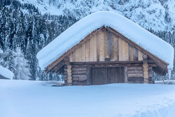 Sněžení Poslední Světla Soumraku Sappadě Magie Dolomitů — Stock fotografie