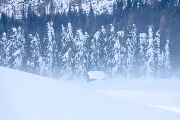 Après Les Chutes Neige Dernières Lumières Crépuscule Sappada Magie Des — Photo