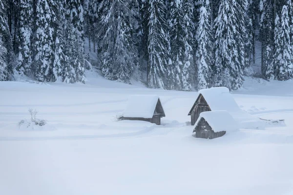 Snowfall Last Lights Twilight Sappada Magic Dolomites — Stock Photo, Image