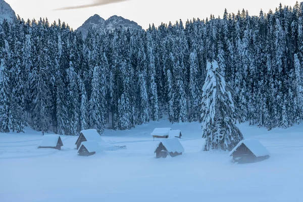 Después Nevada Las Últimas Luces Del Crepúsculo Sappada Magia Los —  Fotos de Stock