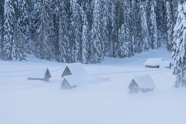 Snowfall Last Lights Twilight Sappada Magic Dolomites — Stock Photo, Image