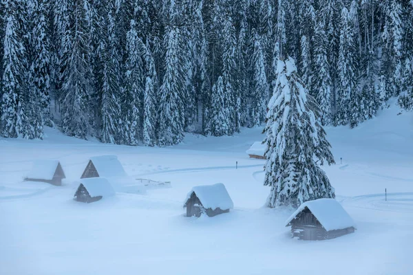 Snowfall Last Lights Twilight Sappada Magic Dolomites — Stock Photo, Image