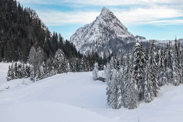 Opadach Śniegu Ostatnie Światła Zmierzchu Sappada Magia Dolomitów — Zdjęcie stockowe