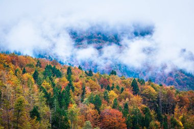 Slovenya 'daki güzel sonbahar dağ manzarası