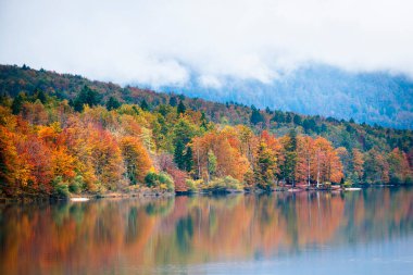 Slovenia 'da Bohinj Gölü ile sonbahar manzarası