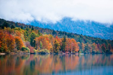 Slovenia 'da Bohinj Gölü ile sonbahar manzarası
