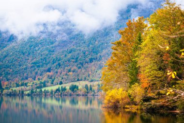 Slovenia 'da Bohinj Gölü ile sonbahar manzarası