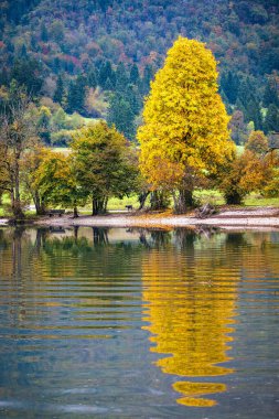 Slovenia 'da Bohinj Gölü ile sonbahar manzarası