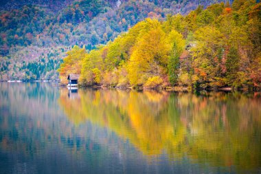 Güz manzaralı güzel Bohinj Gölü ve Slovenia 'daki evi