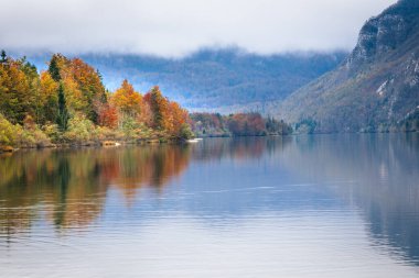 Güz manzarası ile güzel göl Bohinj ile Slovenia 'da ağaçlar