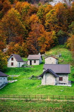 İtalya 'nın Julian Alpleri' nde bulunan Resia Vadisi 'ndeki manzara. Canlı sonbahar yaprakları ve yeşil çimenli yamaçlara kurulmuş birkaç küçük geleneksel ev..