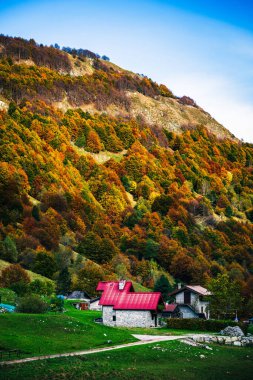 İtalya 'nın Julian Alpleri' nde bulunan Resia Vadisi 'ndeki manzara. Canlı sonbahar yaprakları ve yeşil çimenli yamaçlara kurulmuş birkaç küçük geleneksel ev..
