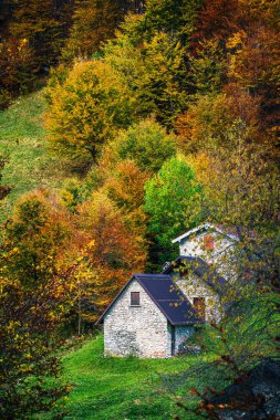 İtalya 'nın Julian Alpleri' nde bulunan Resia Vadisi 'ndeki manzara. Canlı sonbahar yaprakları ve yeşil çimenli yamaçlara kurulmuş birkaç küçük geleneksel ev..