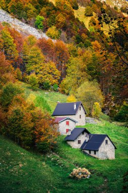 İtalya 'nın Julian Alpleri' nde bulunan Resia Vadisi 'ndeki manzara. Canlı sonbahar yaprakları ve yeşil çimenli yamaçlara kurulmuş birkaç küçük geleneksel ev..