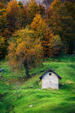 İtalya 'nın Julian Alpleri' nde bulunan Resia Vadisi 'ndeki manzara. Canlı sonbahar yaprakları ve yeşil çimenli yamaçlara kurulmuş küçük geleneksel evler..