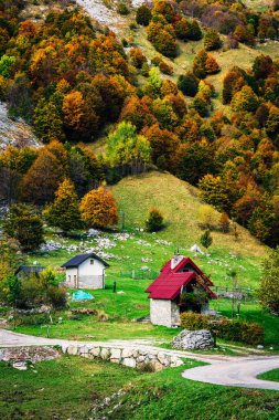 İtalya 'nın Julian Alpleri' nde bulunan Resia Vadisi 'ndeki manzara. Canlı sonbahar yaprakları ve yeşil çimenli yamaçlara kurulmuş birkaç küçük geleneksel ev..