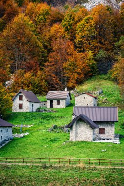 İtalya 'nın Julian Alpleri' nde bulunan Resia Vadisi 'ndeki manzara. Canlı sonbahar yaprakları ve yeşil çimenli yamaçlara kurulmuş birkaç küçük geleneksel ev..