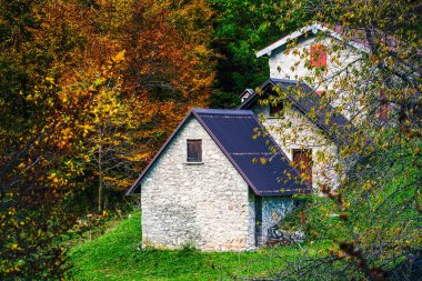 İtalya 'nın Julian Alpleri' nde bulunan Resia Vadisi 'ndeki manzara. Canlı sonbahar yaprakları ve yeşil çimenli yamaçlara kurulmuş birkaç küçük geleneksel ev..