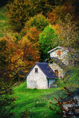 İtalya 'nın Julian Alpleri' nde bulunan Resia Vadisi 'ndeki manzara. Canlı sonbahar yaprakları ve yeşil çimenli yamaçlara kurulmuş birkaç küçük geleneksel ev..