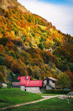 İtalya 'nın Julian Alpleri' nde bulunan Resia Vadisi 'ndeki manzara. Canlı sonbahar yaprakları ve yeşil çimenli yamaçlara kurulmuş birkaç küçük geleneksel ev..
