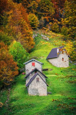 İtalya 'nın Julian Alpleri' nde bulunan Resia Vadisi 'ndeki manzara. Canlı sonbahar yaprakları ve yeşil çimenli yamaçlara kurulmuş birkaç küçük geleneksel ev..