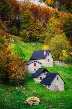 İtalya 'nın Julian Alpleri' nde bulunan Resia Vadisi 'ndeki manzara. Canlı sonbahar yaprakları ve yeşil çimenli yamaçlara kurulmuş birkaç küçük geleneksel ev..