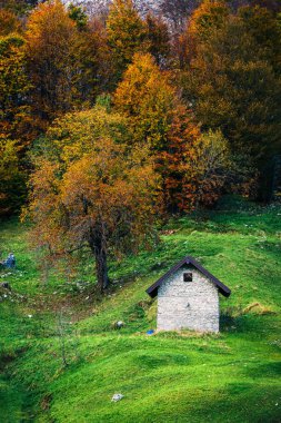 İtalya 'nın Julian Alpleri' nde bulunan Resia Vadisi 'ndeki manzara. Canlı sonbahar yaprakları ve yeşil çimenli yamaçlara kurulmuş birkaç küçük geleneksel ev..