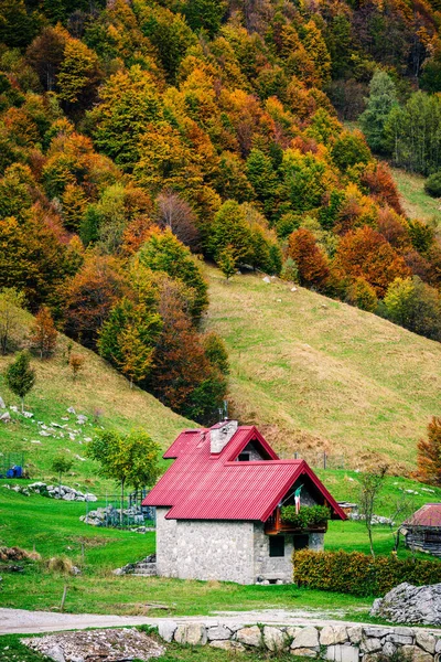 İtalya 'nın Julian Alpleri' nde bulunan Resia Vadisi 'ndeki manzara. Canlı sonbahar yaprakları ve yeşil çimenli yamaçlara kurulmuş birkaç küçük geleneksel ev..