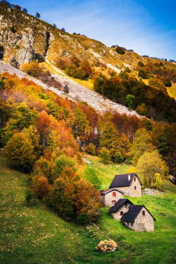 İtalya 'nın Julian Alpleri' nde bulunan Resia Vadisi 'ndeki manzara. Canlı sonbahar yaprakları ve yeşil çimenli yamaçlara kurulmuş birkaç küçük geleneksel ev..