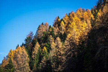İtalya 'nın Dolomite dağlarında sonbahar ağaçlarıyla güzel bir dağlık arazi.