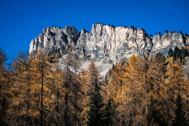 Dolomite dağlarının renkli ağaçlarıyla sonbahar dağları manzarası