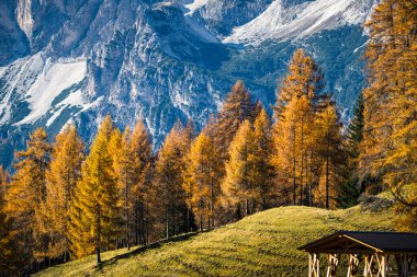 Dolomite dağlarının renkli ağaçlarıyla sonbahar dağları manzarası