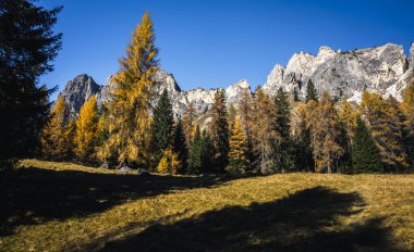 İtalya 'nın Dolomite dağlarında sonbahar ağaçlarıyla güzel bir dağlık arazi.