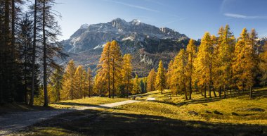Dolomite dağlarının renkli ağaçlarıyla sonbahar dağları manzarası
