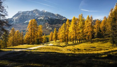 Dolomite dağlarının renkli ağaçlarıyla sonbahar dağları manzarası