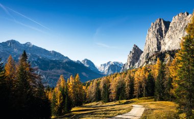 İtalya 'nın Dolomite Dağları' ndaki sonbahar karaçam ağaçlarının güzel alp manzarası