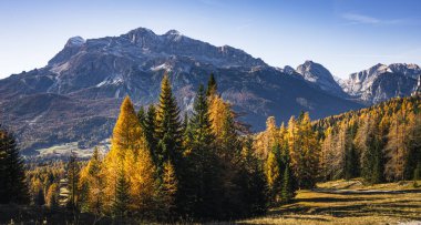 İtalya 'nın Dolomite Dağları' ndaki sonbahar karaçam ağaçlarının güzel alp manzarası