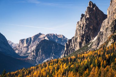 İtalya 'nın Dolomite Dağları' ndaki sonbahar karaçam ağaçlarının güzel alp manzarası