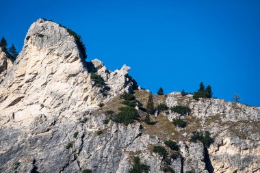 Mavi gökyüzüne karşı kaya oluşumları ve çam ağaçları, Dolomite dağları, Cortina D 'Ampezzo, İtalya
