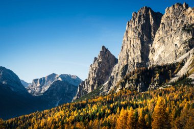 Sonbaharda karaçam ağaçlı Dolomite dağlarının manzarası, Cortina D 'Ampezzo, İtalya