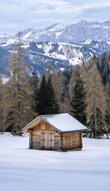 Ormandaki dağlık alanda karla kaplı ahşap kulübe..