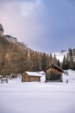İtalya 'nın Dolomite dağlarında çam ağaçları ve ahşap evler olan karlı bir manzara.
