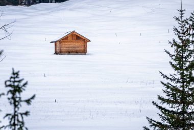 Ormandaki dağlık alanda karla kaplı ahşap kulübe..