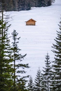Ormandaki dağlık alanda karla kaplı ahşap kulübe..