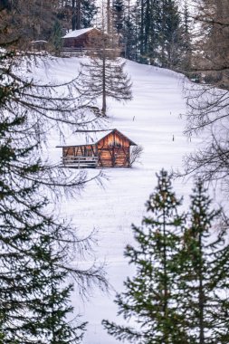 Ormandaki dağlık alanda karla kaplı ahşap kulübe..